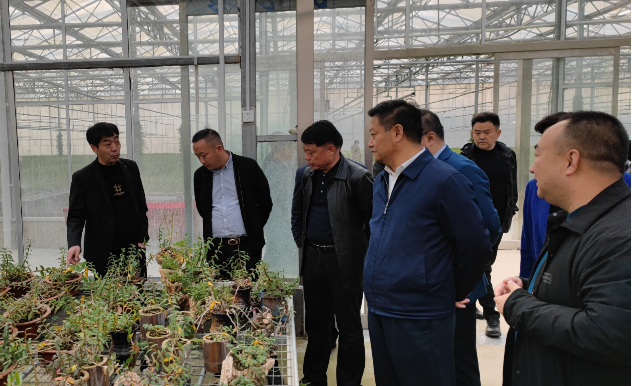 韩国av片
董事长佘中生赴南阳考察调研中医药产业发展